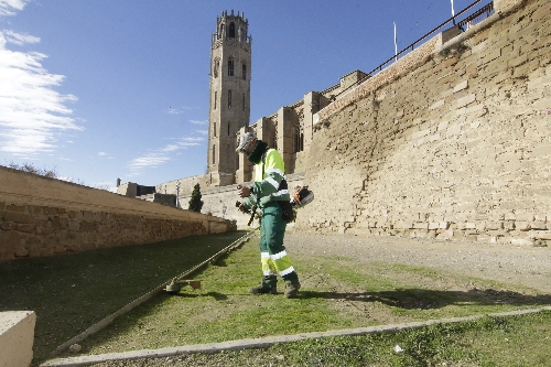 Neteja de la gespa i males herbes del Turó de la Seu
