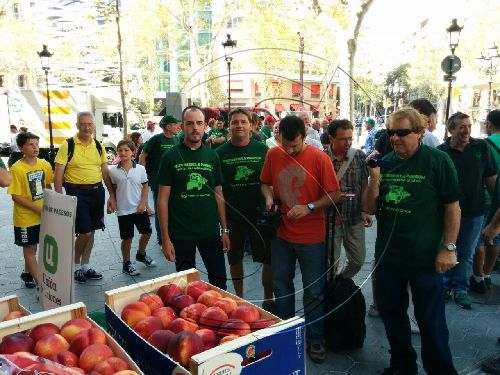 Els agricultors exigeixen a Lleida mesures polítiques i econòmiques davant del veto rus