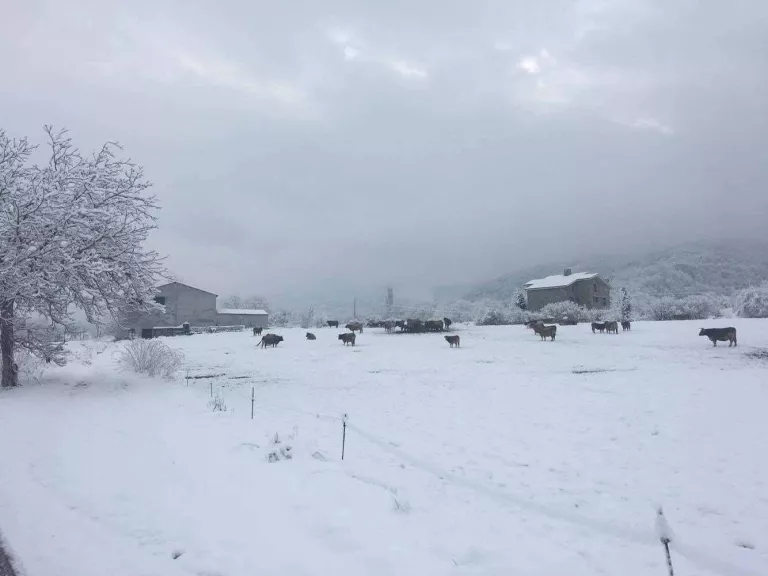 Tot i la nevada d'aquesta nit no hi ha problemes de transport al Pirineu