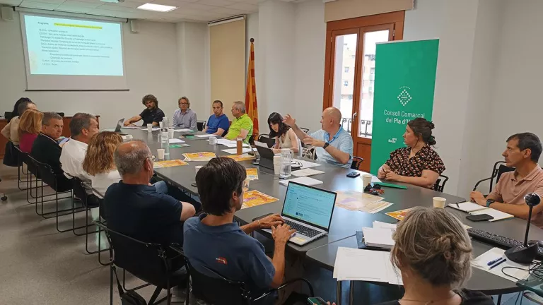 Els alcaldes del Pla d'Urgell exigeixen dades a Salut sobre el personal mèdic a la comarca