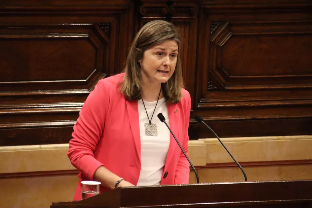 Segueix la tramitació per reconèixer l'aranès llengua vehicular en l'ensenyament no universitari, en la llei del català