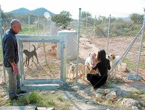 La Noguera busca aliment per a animals del refugi