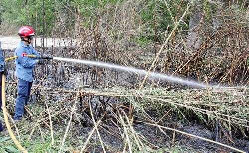 Un incendi calcina 5.000 metres quadrats de vegetació a Sudanell