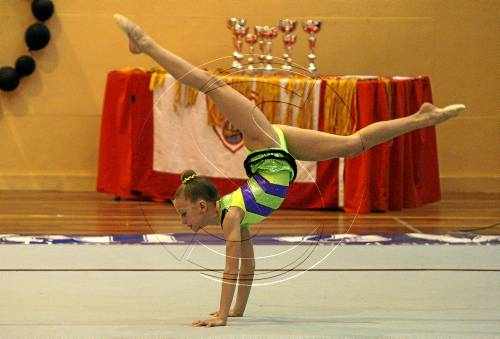 El Sícoris fica cinc equips i tres gimnastes a l'Estatal
