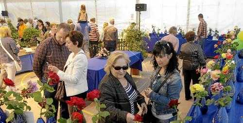 Ecojardí obre amb cent parades i preveu atraure més de 15.000 visitants