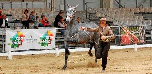 La Feria de Abril de Lleida tanca amb 60.000 visitants