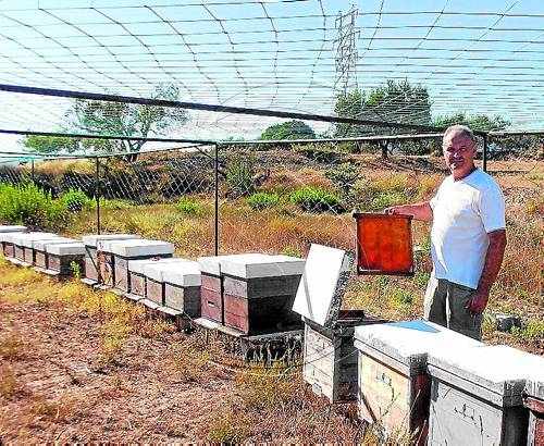 Els apicultors de Lleida preveuen una gran producció de mel d'alta qualitat