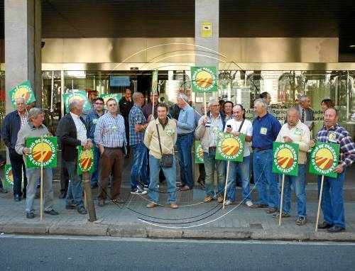 La producció d'ametlla augmenta un 55% a Lleida