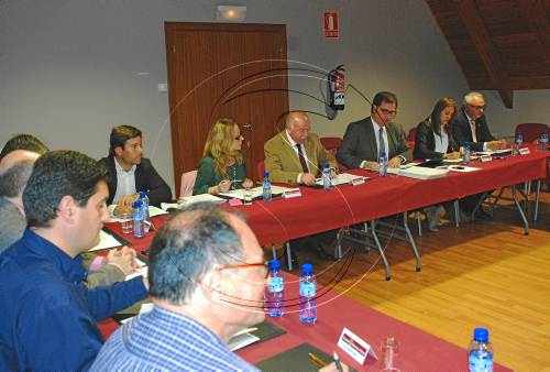 Aran ratifica el pla urbà que limita els usos en bordes