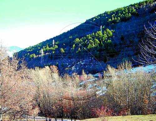 El Govern haurà de pagar 90.000  a Alt Àneu per impedir tales d'arbres
