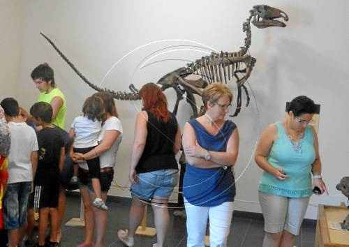 Coll de Nargó desencalla el museu dels dinosaures