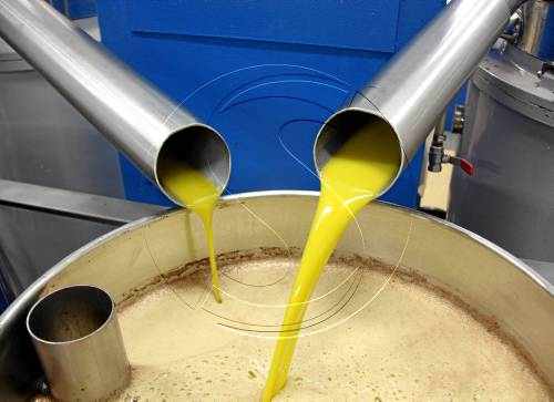 El preu de l'oli d'oliva a granel s'encareix un 15% l'últim mes