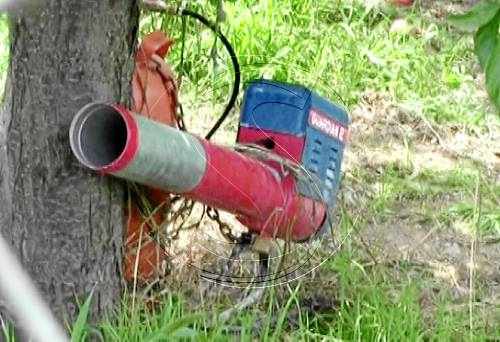 Clariana de Cardener prohibeix espantar ocells durant la nit