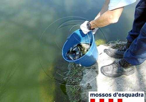 Cinc denúncies per pesca il·legal a la partida de Rufea