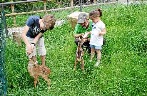 Més de 35.000 persones han visitat Aran Park de Bossòst entre el març i l'agost d'aquest any