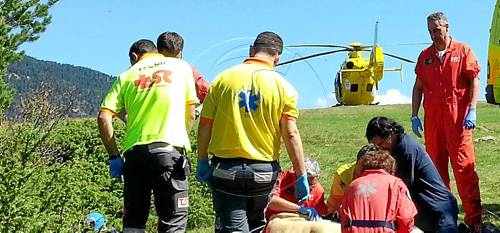 Mor un veí del Bages a Montferrer i Castellbò mentre buscava bolets