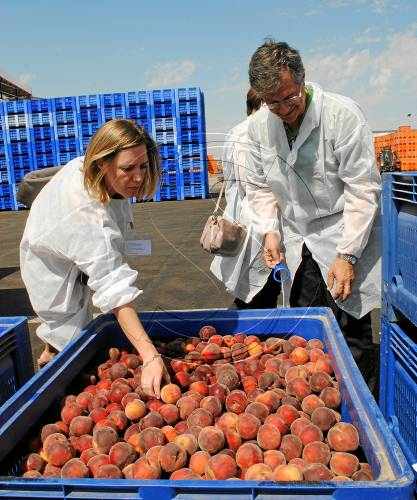 Els agricultors titllen d'injustificada la suspensió de les ajudes davant del veto rus