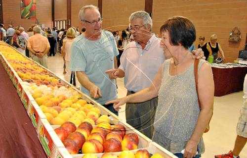 Agricultors d'Ivars de Noguera demanen més ajuts per a assegurances en un any desastrós