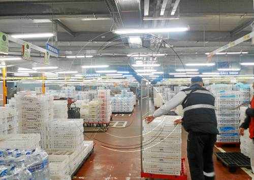 BonÀrea i Mercadona són els súpers més econòmics, segons l'OCU