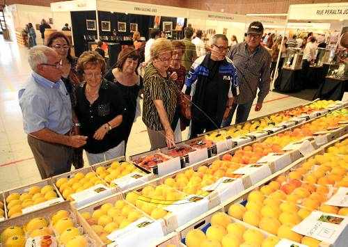 Lleida ajudarà Alfarràs a aconseguir la marca 'Pinyana' per vendre fruita