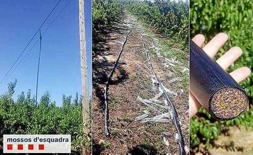 Tres detinguts per robar tres quilòmetres de cable telefònic al Segrià