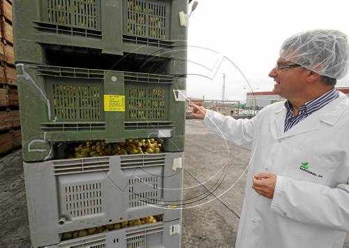 Coberta la quota per a retirades de poma i pera a tot Espanya