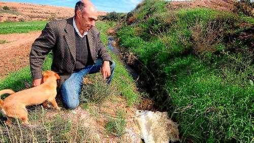 Queixes per abocaments a Montoliu que el consell qualifica d'innocus