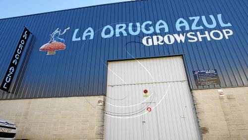 La Paeria suspèn un any les llicències a locals de fumadors o cultiu de cànnabis