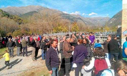 Centenars de persones a la fira ramadera i del cep de Vilaller
