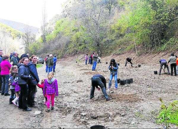 Planten nogueres a Rialp per recuperar l'entorn de la presa
