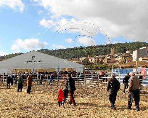 Més de 6.000 persones a la recreació de la Fira de Salàs