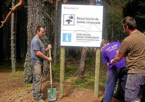 Prop de 500 carnets de boletaire a Alt Urgell i Sobirà i 1.200 al Pirineu