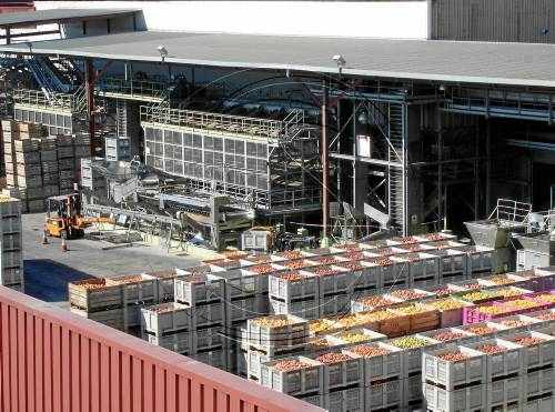 Indulleida inverteix tres milions d'euros i crea deu llocs de treball a Alguaire