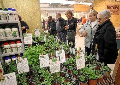 La producció ecològica té una quota de mercat de l'1,5 per cent