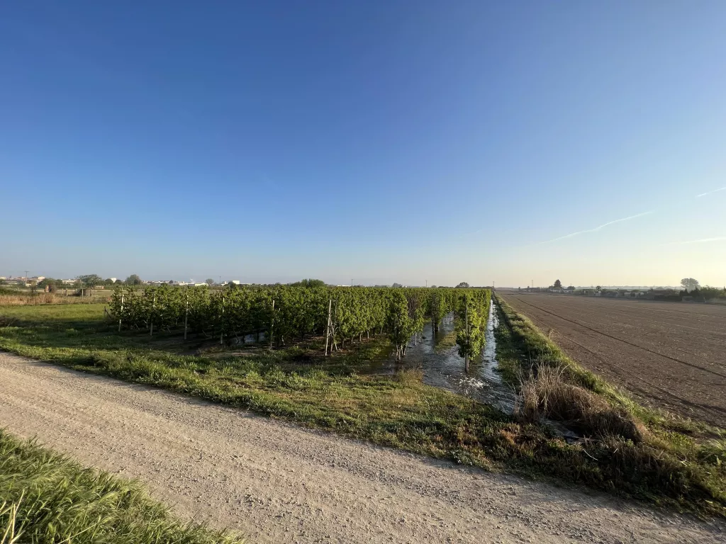 El canal d'Urgell tanca el regadiu amb la incertesa de si es podrà regar abans del setembre