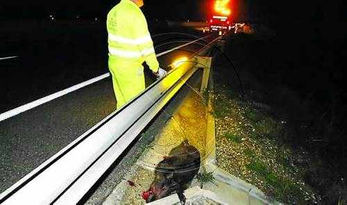 Mor un veí de Cervera a causa d'un accident a Tarroja de Segarra