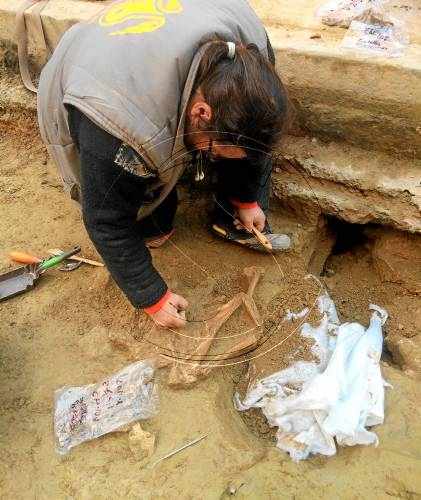 Obres a Agramunt trauen a la llum esquelets del XIV