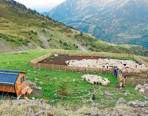 Rialp reclama sortir del Parc de l'Alt Pirineu si no beneficia la ramaderia