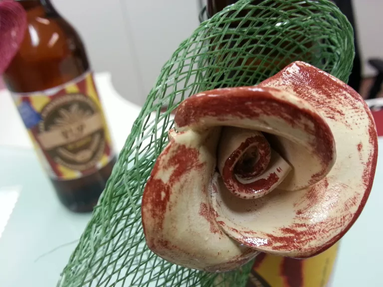 Cervesa ViP per Sant Jordi