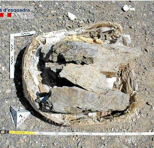 El robatori d'un fòssil de 65 milions d'anys a Coll de Nargó se salda amb sols 90 € de multa