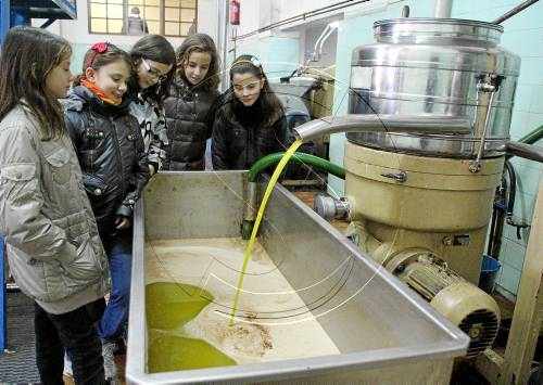 Les cooperatives de la DO Garrigues venen el 70 per cent de l'oli envasat
