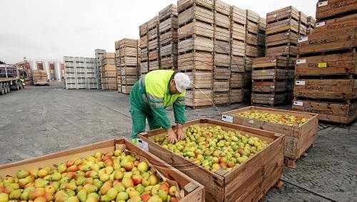 Les retirades de fruita sufragades per la UE no arriben ni al 2% de la producció catalana