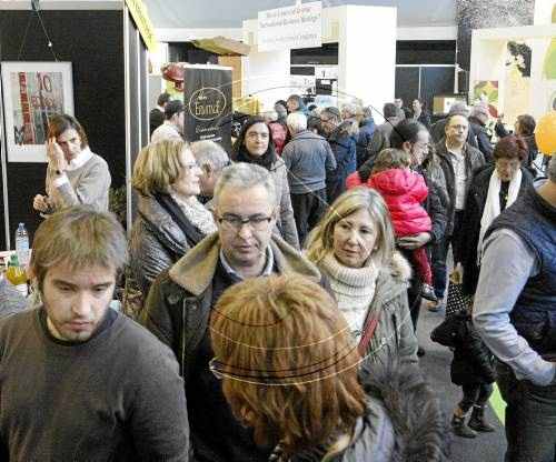L'oli dóna feina a 1.000 persones a Lleida i allarga la campanya agrària fins als 9 mesos
