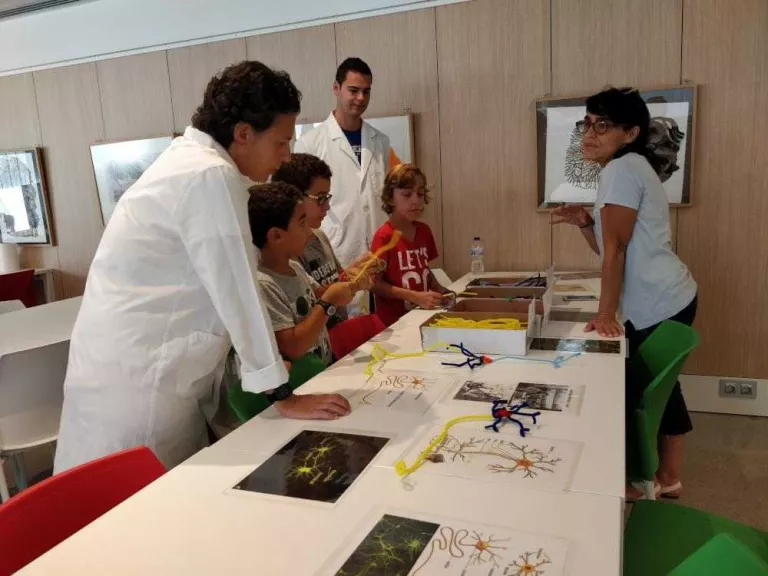 L’IRBLleida organitza dos tallers i una gimcana en el marc de la Nit Europea de la Recerca 2019