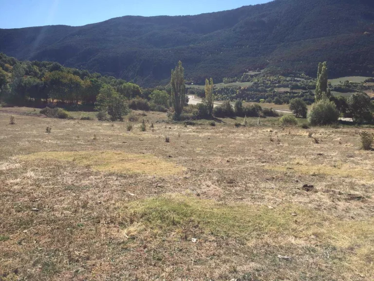 La ramaderia del Pirineu perd un 20% de capacitat econòmica per culpa de la sequera extrema