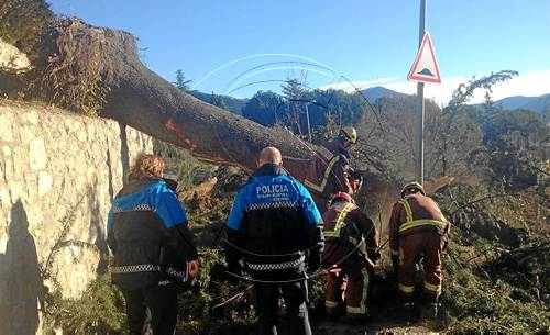 Vents huracanats al Pirineu