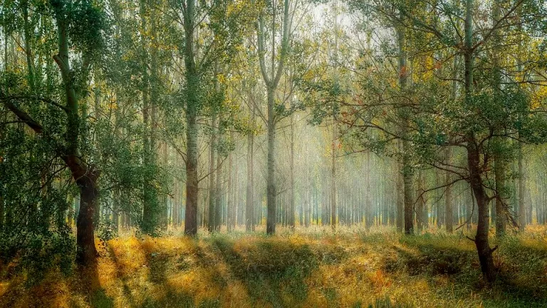 L'Alt Urgell proposa tres possibles ubicacions per a la seu de l'Agència de la Natura