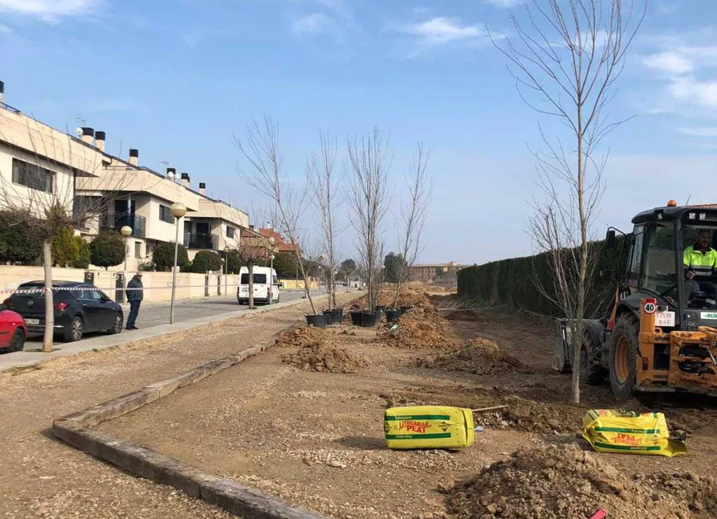 Torrefarrera planta 130 arbres al nou passeig per seguir fent una vila verda