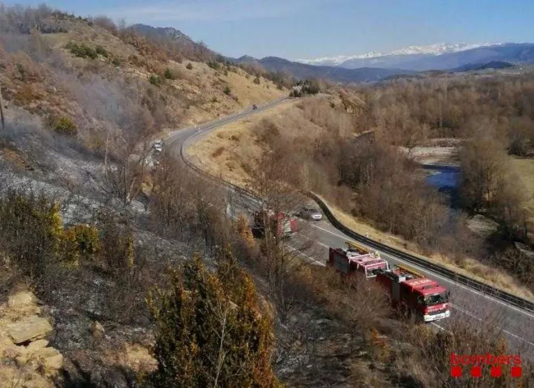 Dos incendis de vegetació cremen més de 5 hectàrees a la Segarra i la Cerdanya