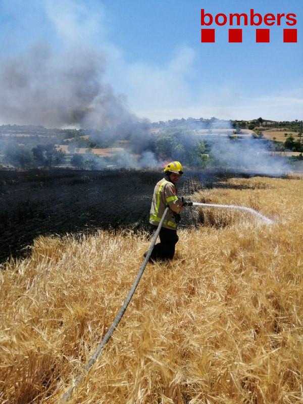 Dos incendis cremen vegetació agrícola a la Segarra i l'Alt Penedès